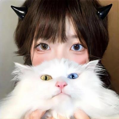 顾问 在线观看